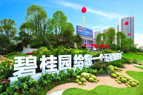 青州碧桂园爆料视频,品质与服务的双重考验